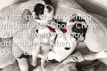 What are the grooming methods for Chow Chow? What should you pay attention to when doing beauty treatments?