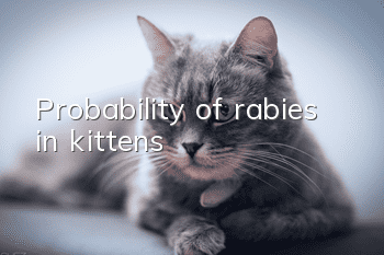 Probability of rabies in kittens