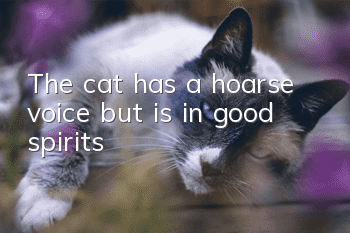 The cat has a hoarse voice but is in good spirits