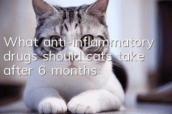 What anti-inflammatory drugs should cats take after 6 months?