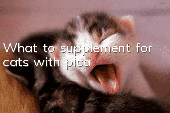 What to supplement for cats with pica?