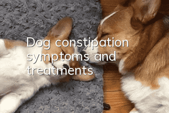 Dog constipation symptoms and treatments