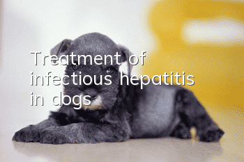 Treatment of infectious hepatitis in dogs