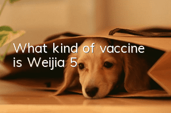 What kind of vaccine is Weijia 5?