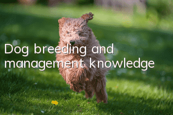 Dog breeding and management knowledge