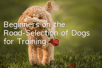 Beginners on the Road-Selection of Dogs for Training