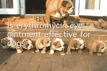 Is erythromycin eye ointment effective for dogs?
