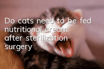 Do cats need to be fed nutritional cream after sterilization surgery?
