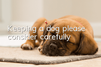 Keeping a dog: please consider carefully