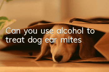 Can you use alcohol to treat dog ear mites?