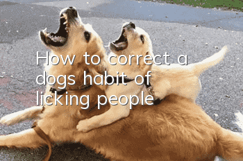 How to correct a dog's habit of licking people?