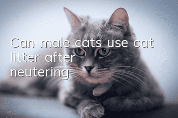 Can male cats use cat litter after neutering?