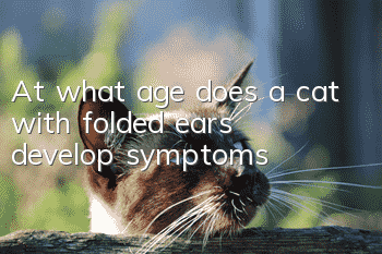 At what age does a cat with folded ears develop symptoms?