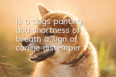 Is a dog’s panting and shortness of breath a sign of canine distemper?