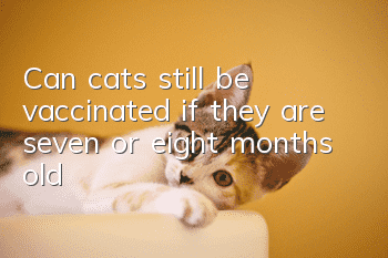 Can cats still be vaccinated if they are seven or eight months old?