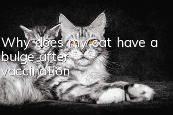 Why does my cat have a bulge after vaccination?
