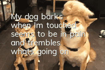 My dog barks when I'm touched, seems to be in pain and trembles, what's going on?
