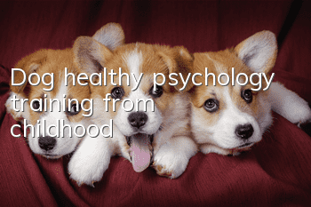 Dog healthy psychology training from childhood