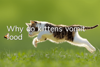 Why do kittens vomit food?
