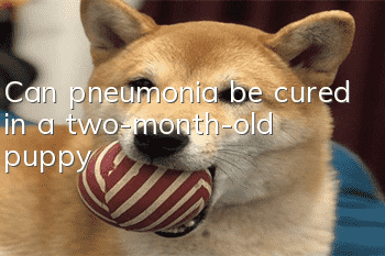 Can pneumonia be cured in a two-month-old puppy?