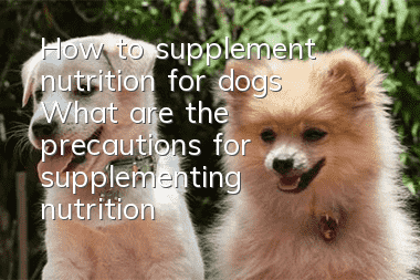 How to supplement nutrition for dogs? What are the precautions for supplementing nutrition for dogs?