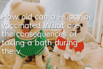 How old can a Husky be vaccinated? What are the consequences of taking a bath during the vaccine period?