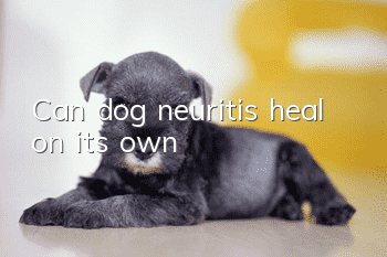Can dog neuritis heal on its own?