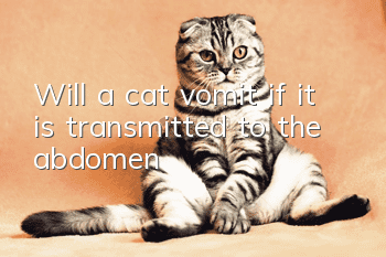 Will a cat vomit if it is transmitted to the abdomen?