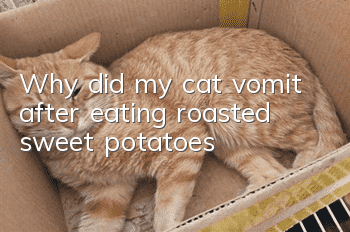 Why did my cat vomit after eating roasted sweet potatoes?