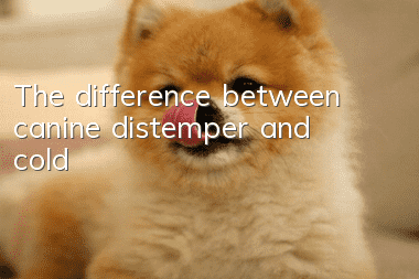 The difference between canine distemper and cold