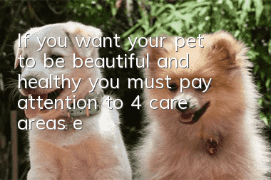 If you want your pet to be beautiful and healthy, you must pay attention to 4 care areas every day!