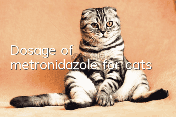 Dosage of metronidazole for cats