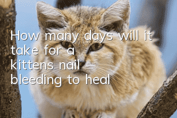 How many days will it take for a kitten's nail bleeding to heal?