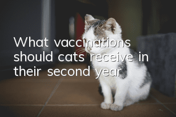 What vaccinations should cats receive in their second year?