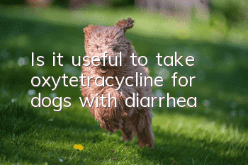 Is it useful to take oxytetracycline for dogs with diarrhea?