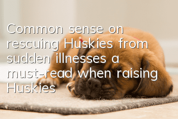 Common sense on rescuing Huskies from sudden illnesses, a must-read when raising Huskies!