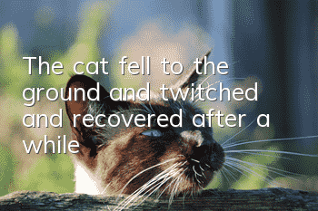 The cat fell to the ground and twitched and recovered after a while