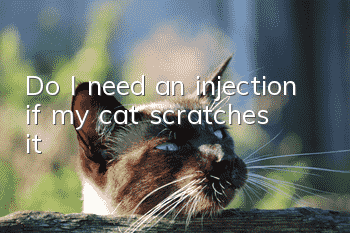 Do I need an injection if my cat scratches it?