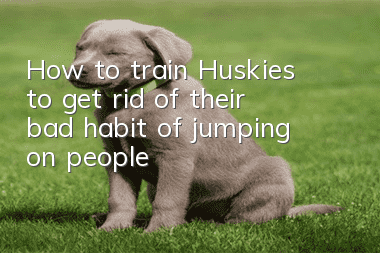 How to train Huskies to get rid of their bad habit of jumping on people?