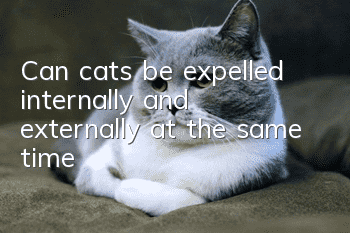 Can cats be expelled internally and externally at the same time?
