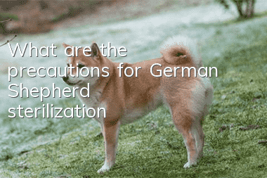 What are the precautions for German Shepherd sterilization?