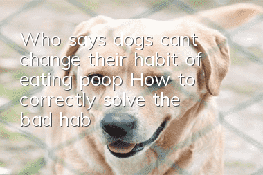 Who says dogs can’t change their habit of eating poop? How to correctly solve the bad habit of eating poop in dogs?