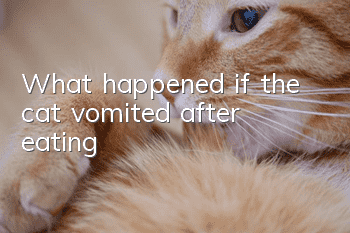 What happened if the cat vomited after eating?