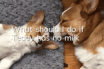 What should I do if Teddy has no milk?
