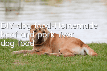 DIY dog food-Homemade beef and pork liver dog food