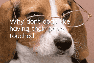 Why don’t dogs like having their paws touched?