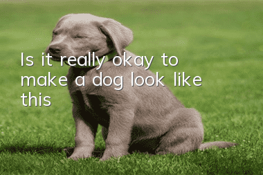Is it really okay to make a dog look like this?