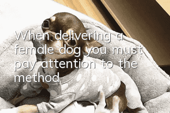 When delivering a female dog, you must pay attention to the method