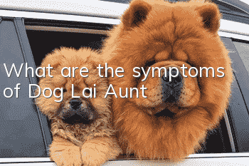 What are the symptoms of Dog Lai Aunt?
