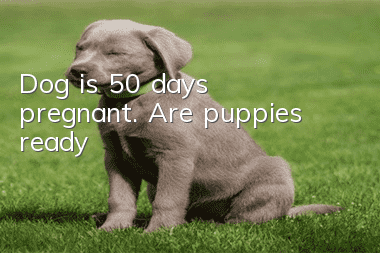 Dog is 50 days pregnant. Are puppies ready?